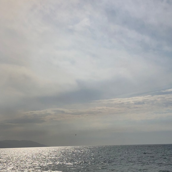 Meet your Posher, Melinda - Picture 1 of 1